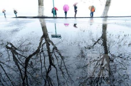 告诉我董瑜的心情