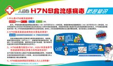 h7n9禽流感宣传口号