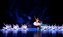 描写拉丁舞姿的句子