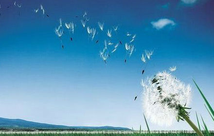 余生不长,不要去想过去,并为实现美好的未来而努力