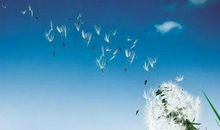 余生不长，勿念过往，努力奔向幸福的未来