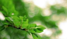 夏季节气的谚语