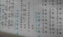 用就是造句大全