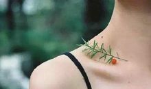 人生短暂，别太计较，随别人怎样理解