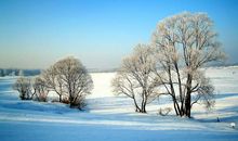 描写冬季的唯美句子