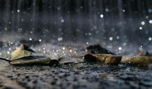 快下雨的预兆的谚语