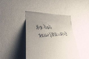 关于现实的审美句子