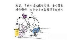 逗老婆开心的话