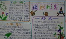 描写花朵的好词好句