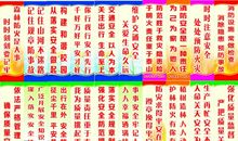 环保标语森林