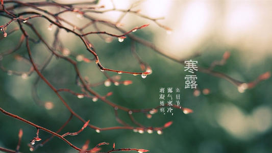 韩露的节气谚语