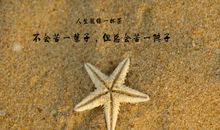 青春的经典句子