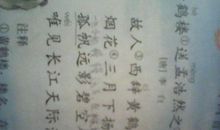 描写人间真情的诗句