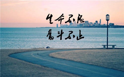 与青年有关的句子