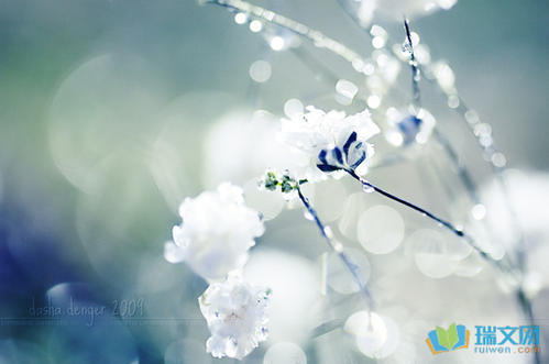 描述新鲜空气的段落