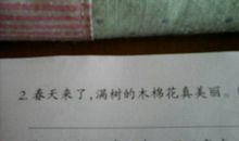 初中拟人句短句