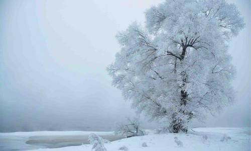 立东的通俗谚语