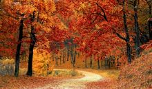 秋天送祝福语大全