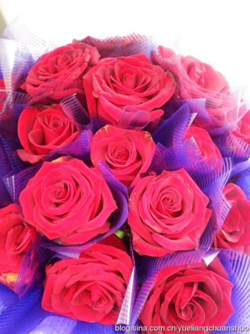 蓝宝石婚礼问候