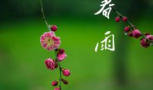 春雨描写的句子