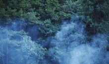 生活谚语30句句句说到心坎里