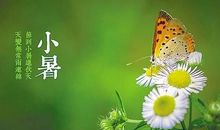 关于小暑的谚语