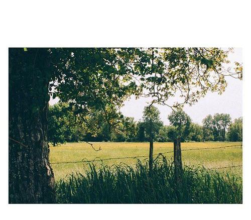 用来描述美好时光的句子