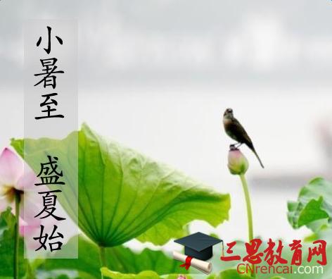 关于小叔的谚语