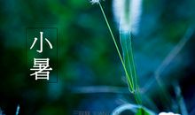 关于小暑的谚语大全