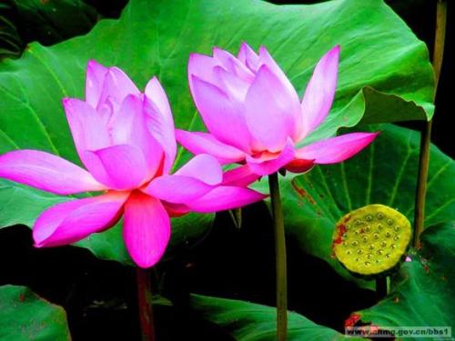 早上向客户致意