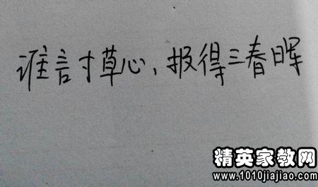 母爱的美丽句子