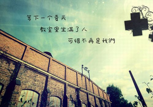 写出优美而年轻的句子