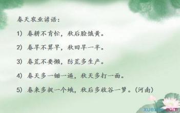 我怀里有十五只兔子