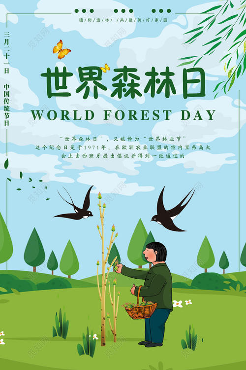 关于森林的环境口号