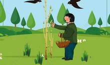 环保标语关于森林