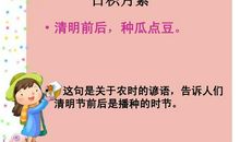 有关清明的谚语