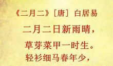 带龙的英文谚语