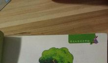 拟人句摘抄50字