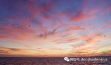 写彩虹的优美句子