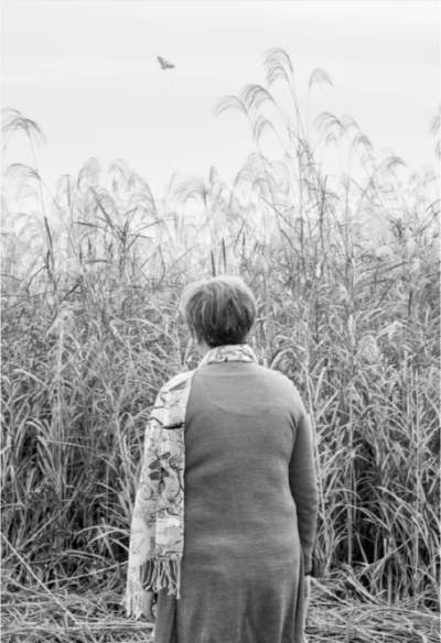 描绘母亲背影的片段