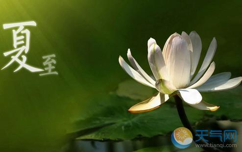 关于夏至的农业谚语