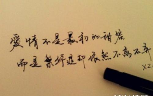 表达爱之美的句子