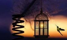 抖音上扎心的句子