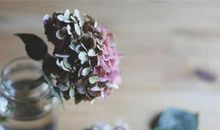 短句说说现实一点的