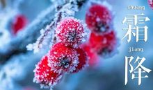 霜降节气相关谚语