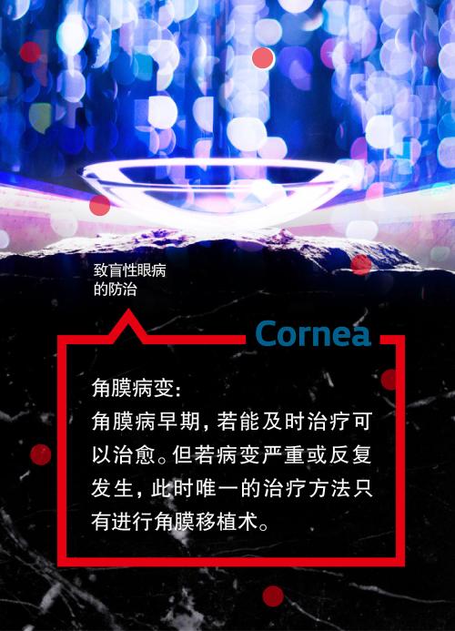 2019国际盲人节祝福语