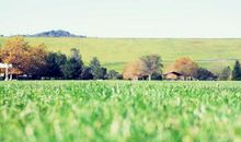 感谢朋友陪伴的句子