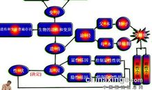 姑妄言经典句子