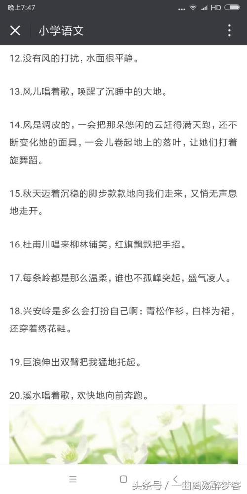 简短的拟人化句子