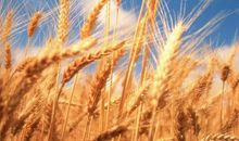 人生感悟正能量的句子